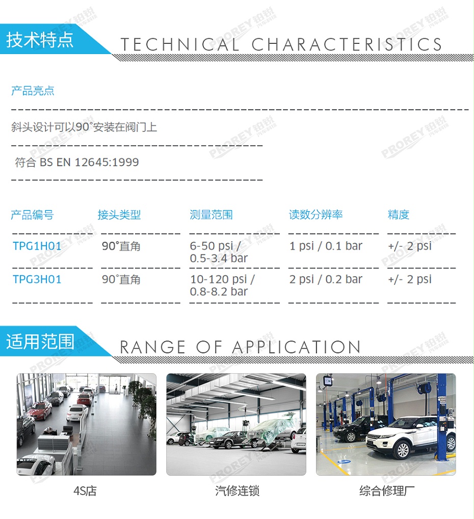 GW-110050063-PCL TPG3H01 胎壓尺-2